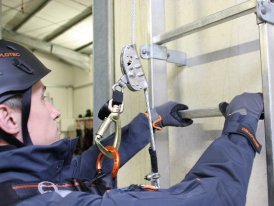 شريان الحياة