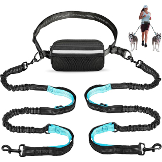 Dog Running Leash with Zipper Pouch, Dual Handle, Elastic Bungees Retractable Rope for Medium and Large Dogs, Waist Bag Pack Carry All Phones Money