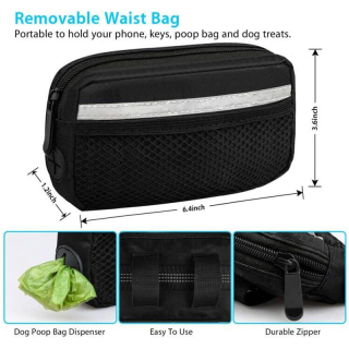 Dog Running Leash with Zipper Pouch, Dual Handle, Elastic Bungees Retractable Rope for Medium and Large Dogs, Waist Bag Pack Carry All Phones Money