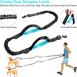 Dog Running Leash with Zipper Pouch, Dual Handle, Elastic Bungees Retractable Rope for Medium and Large Dogs, Waist Bag Pack Carry All Phones Money