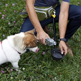 Dog Walk Waist Fanny Pack Treat Pouch with Collapsible Water Bowl and Water Bottle Holder- Large M/L Dogs (Olive Green)