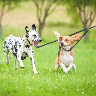 Dog Leash Waist Leash Bungee Retractable for Medium and Large Dogs, with Reflective Stitches for Walking, Jogging and Running