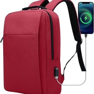 Business Slim Laptops Travel Backpacks with USB Charging Port, College Backpacks Computer Bag Gifts for Men and Women Fits Notebook