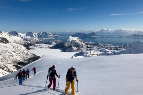 Globale Marktgröße und Marktanteilsanalyse für Outdoor-Gepäck: Wachstumstrends und Prognose (2024 – 2029)