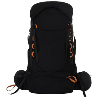 30L Internal Frame Hiking Backpacks Purple Multifunctional Lightweight Travel Camping Backpacking with Removable Rain Cover