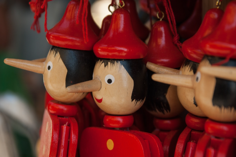 Innovationsschub bei Pickleball-Schlägertaschen: Smarte Technologie und Nachhaltigkeit treiben 250-Millionen-Dollar-Markt an