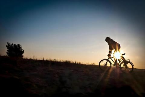 The trend of cycling bags